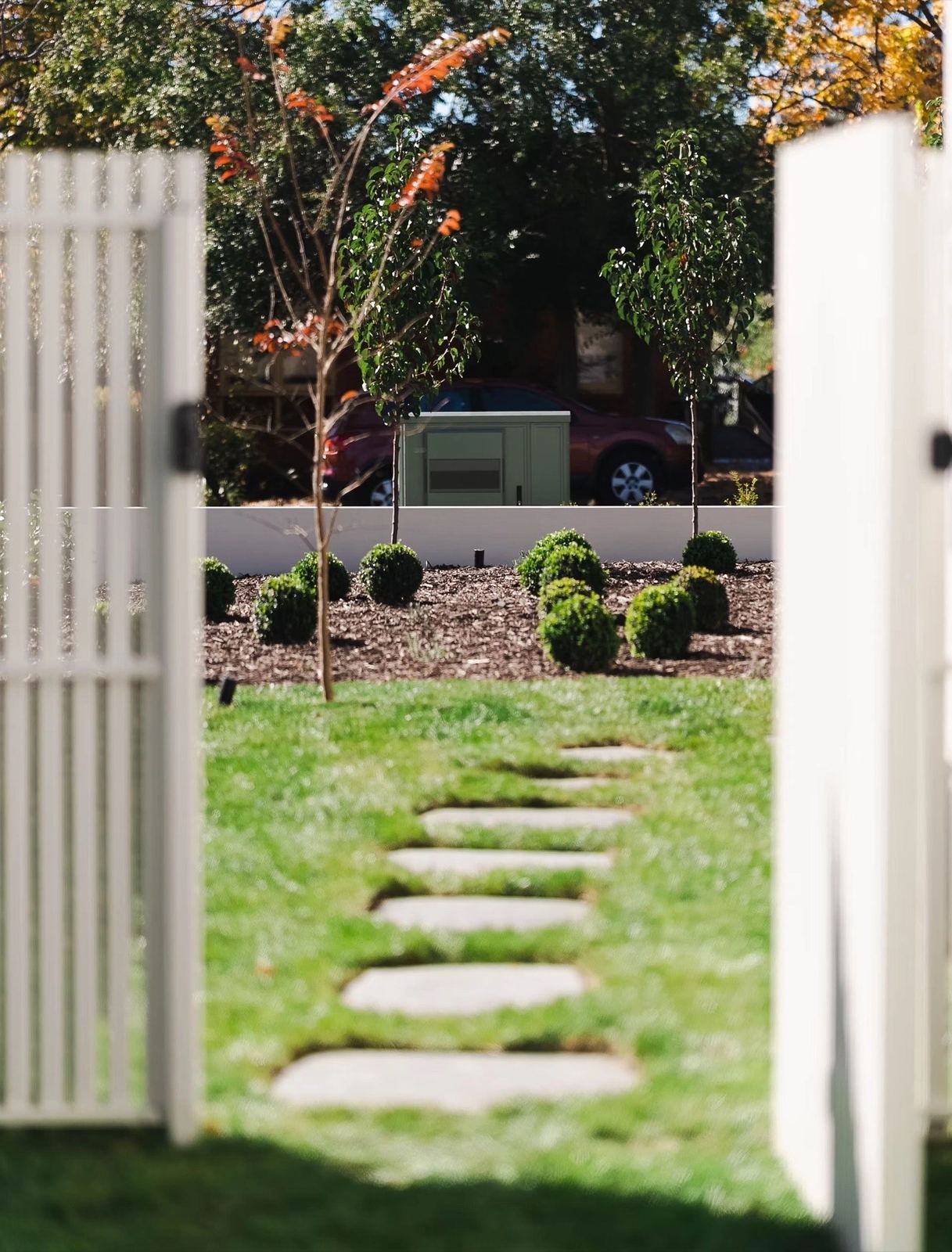 View through the white gate to stepping stones, lawn and clipped buxus garden