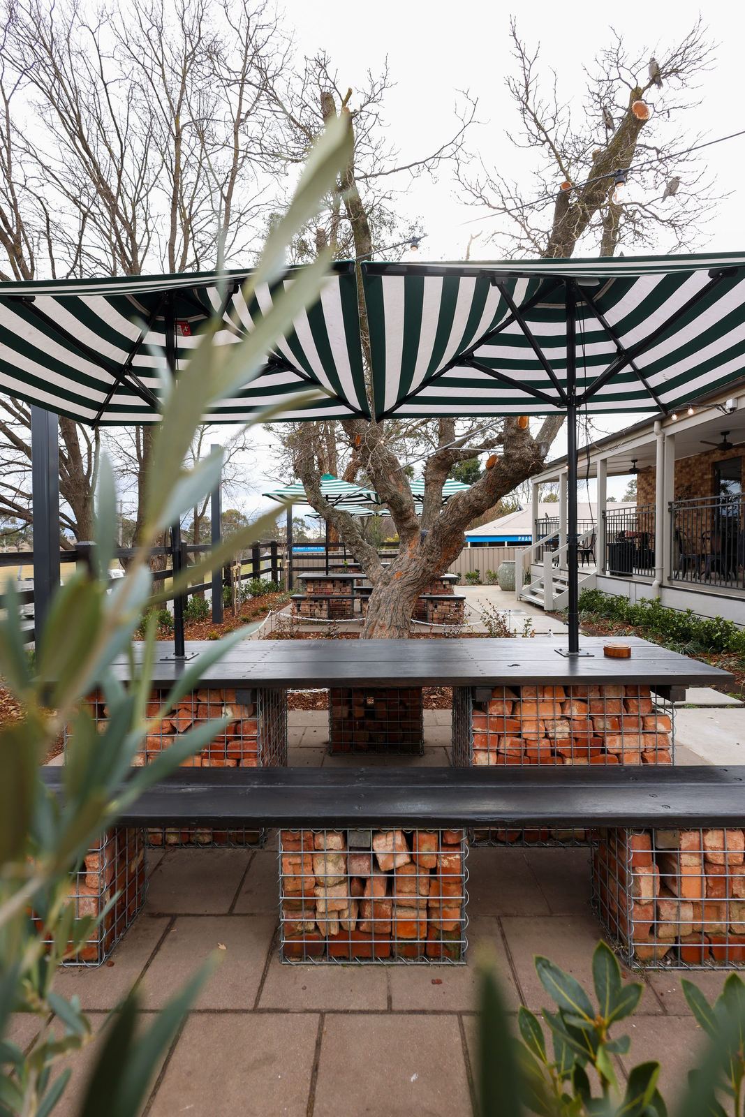 Outdoor dining under the gum with green umbrellas, gabion-brick tables and festoon lighting
