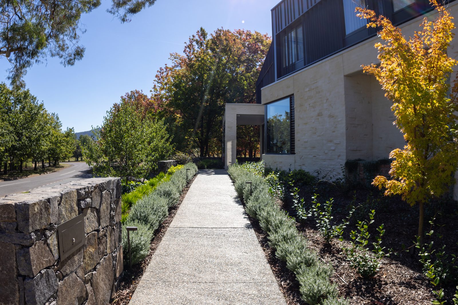 Front approach: concrete path between a stone retaining wall and layered lavender planting to the white portal entry, autumn trees beyond