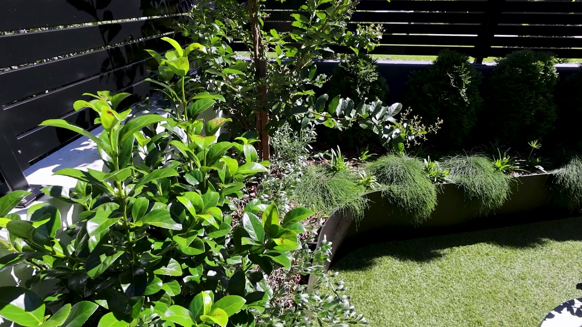 Freshly planted Narrabundah beds with clipped shrubs and silver groundcover